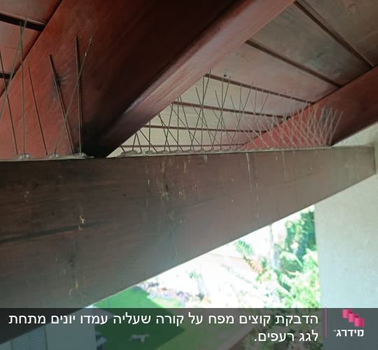 דוקרנים להרחקת יונים מותקנים על קורה מעץ